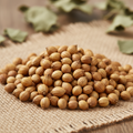 coriander seed whole