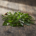 Savory leaf