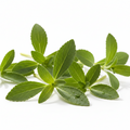 stevia leaf